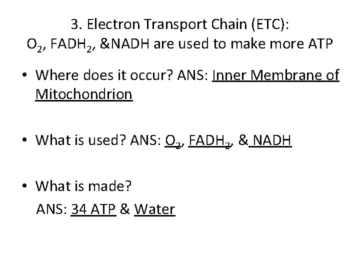 3. Electron Transport Chain (ETC): O 2, FADH 2, &NADH are used to make