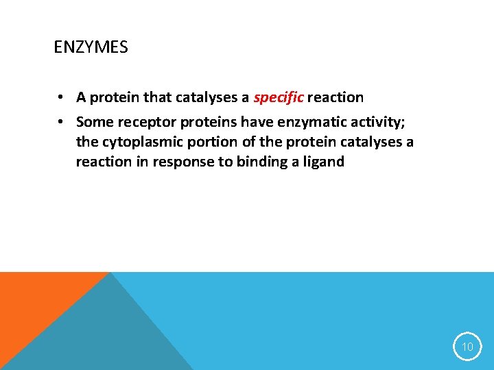 ENZYMES • A protein that catalyses a specific reaction • Some receptor proteins have