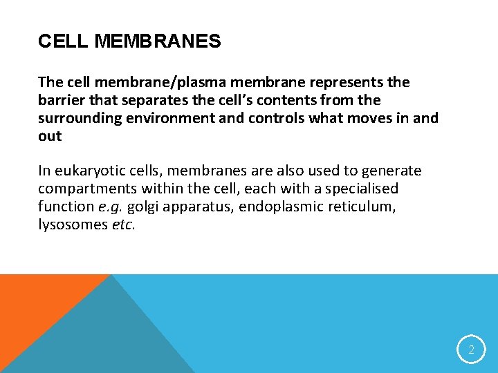 CELL MEMBRANES The cell membrane/plasma membrane represents the barrier that separates the cell’s contents