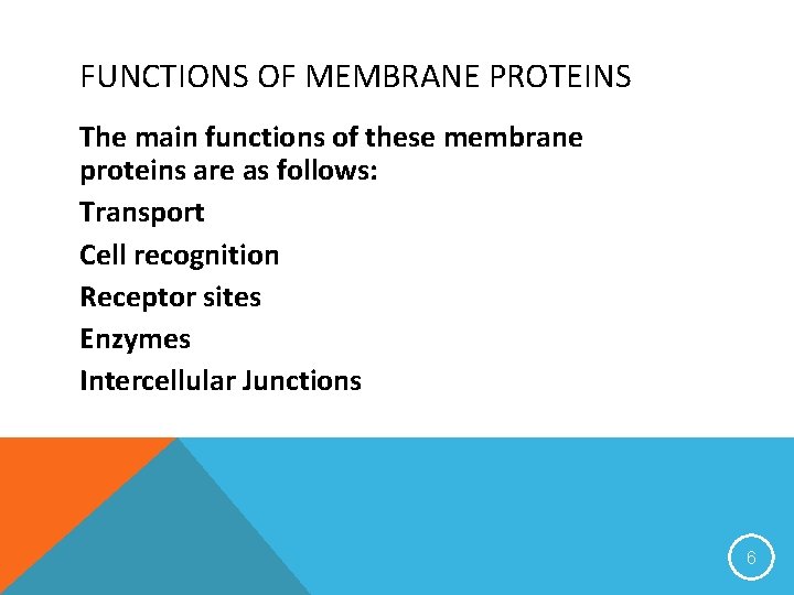 FUNCTIONS OF MEMBRANE PROTEINS The main functions of these membrane proteins are as follows: