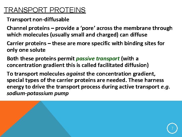 TRANSPORT PROTEINS Transport non-diffusable Channel proteins – provide a ‘pore’ across the membrane through