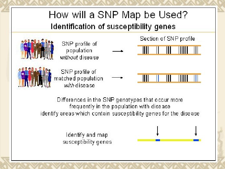 Source: gsk 