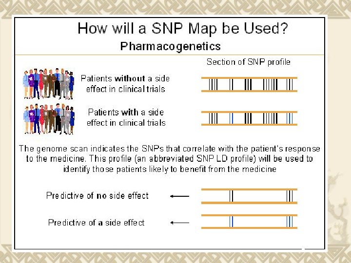  Source: gsk 