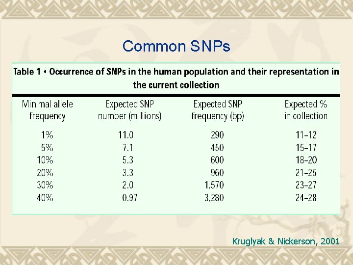 Common SNPs Kruglyak & Nickerson, 2001 