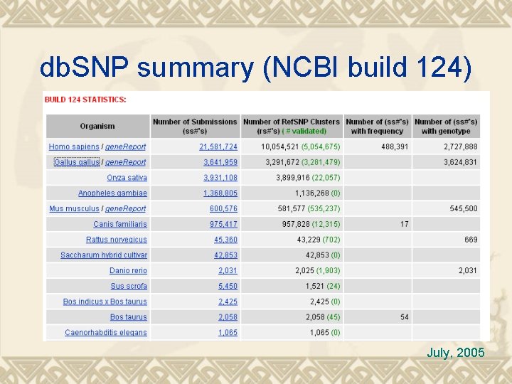 db. SNP summary (NCBI build 124) July, 2005 