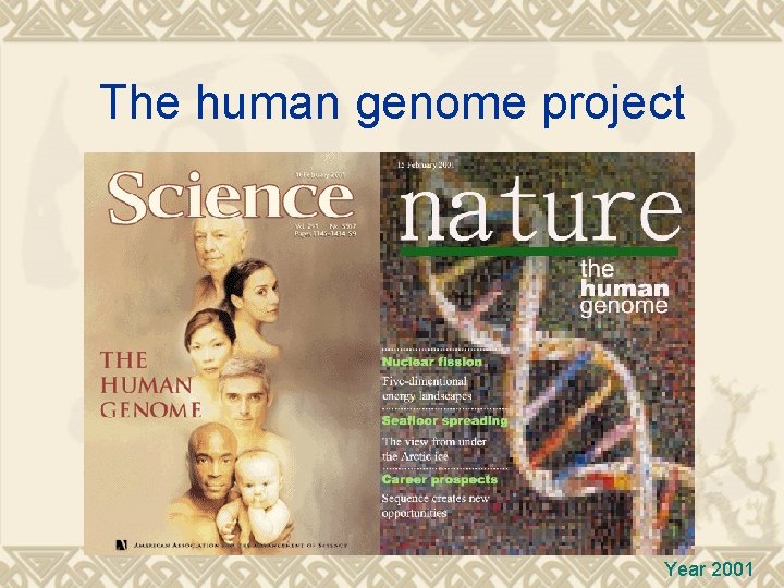 The human genome project Year 2001 