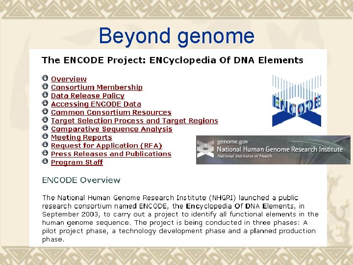 Beyond genome 
