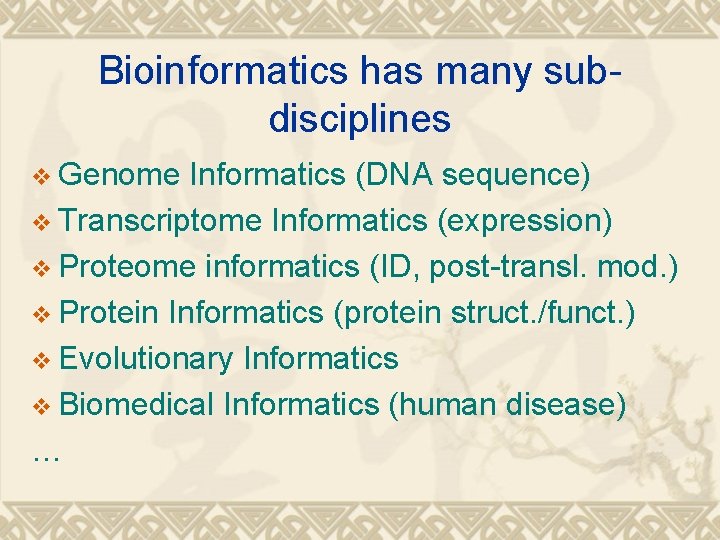 Bioinformatics has many subdisciplines v Genome Informatics (DNA sequence) v Transcriptome Informatics (expression) v