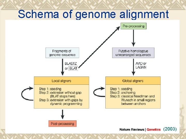 Schema of genome alignment (2003) 