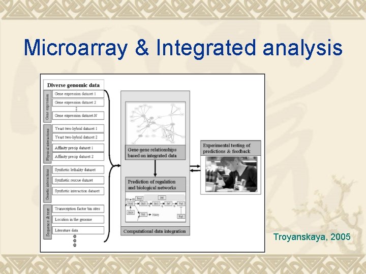 Microarray & Integrated analysis Troyanskaya, 2005 