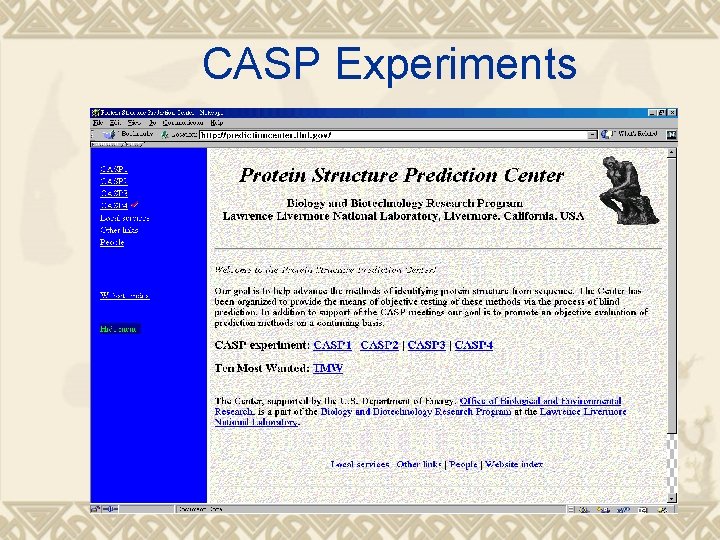 CASP Experiments 