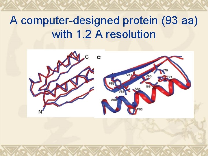 A computer-designed protein (93 aa) with 1. 2 A resolution 