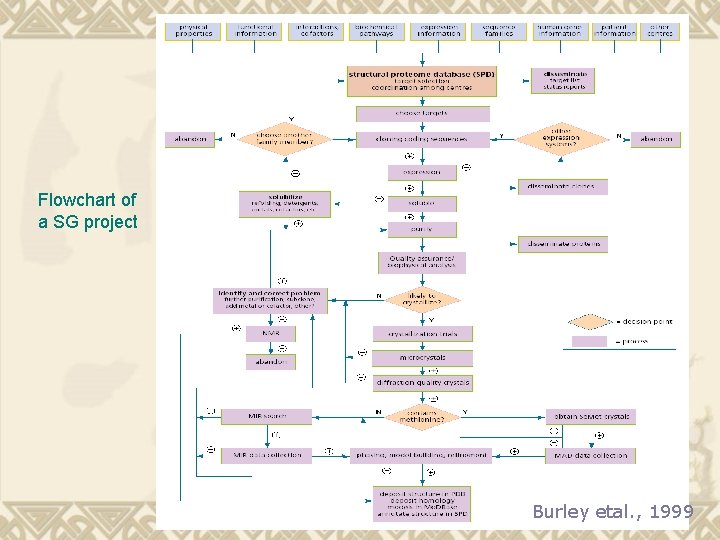 Flowchart of a SG project Burley etal. , 1999 