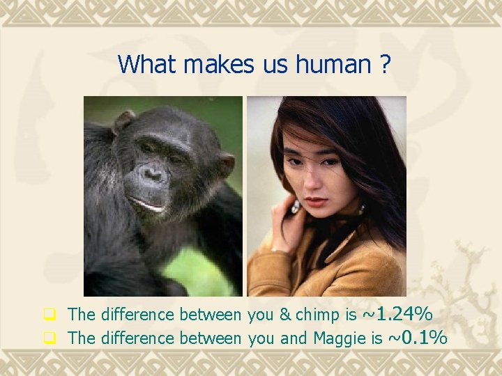 What makes us human ? q The difference between you & chimp is ~1.