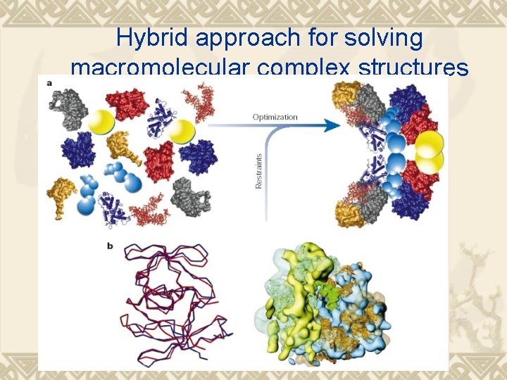 Hybrid approach for solving macromolecular complex structures 