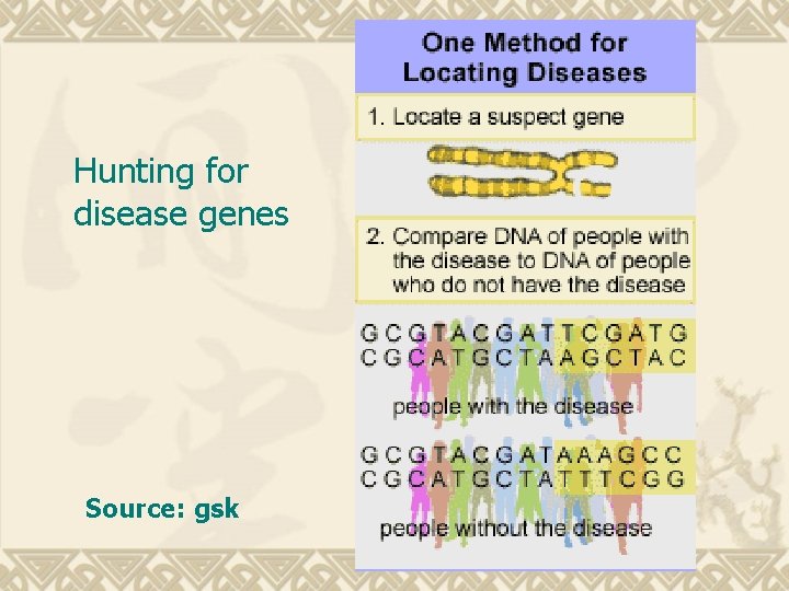 Hunting for disease genes Source: gsk 