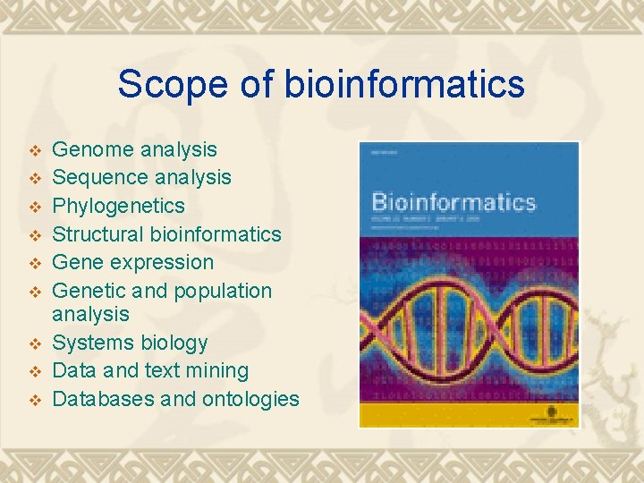 Scope of bioinformatics v v v v v Genome analysis Sequence analysis Phylogenetics Structural