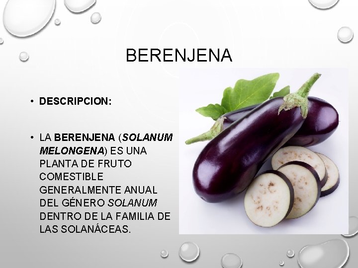 BERENJENA • DESCRIPCION: • LA BERENJENA (SOLANUM MELONGENA) ES UNA PLANTA DE FRUTO COMESTIBLE