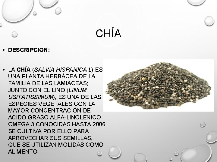 CHÍA • DESCRIPCION: • LA CHÍA (SALVIA HISPANICA L) ES UNA PLANTA HERBÁCEA DE