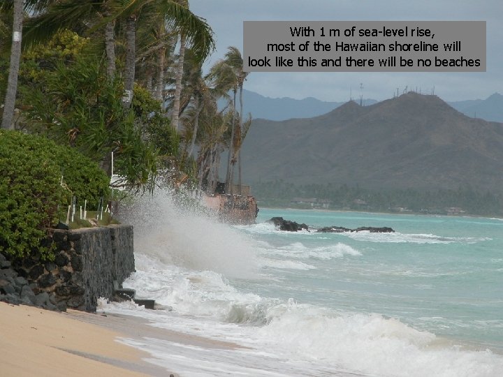 With 1 m of sea-level rise, most of the Hawaiian shoreline will look like