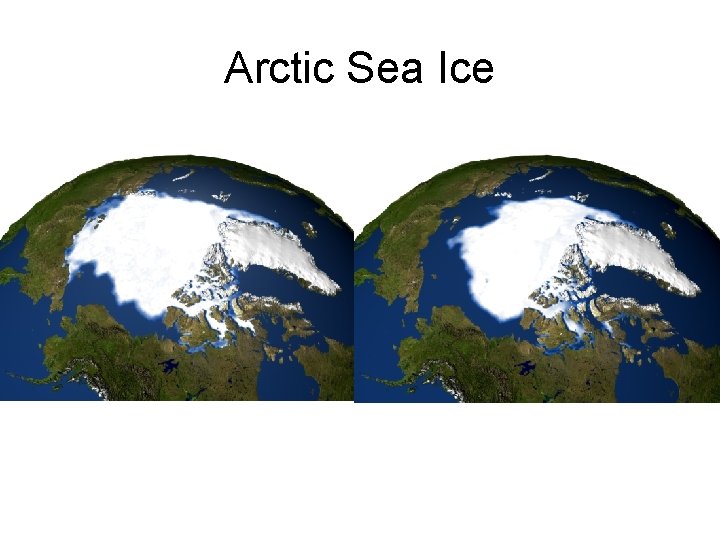 Arctic Sea Ice 