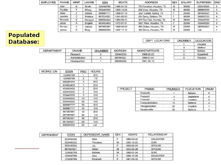 Populated Database: Populated Database: