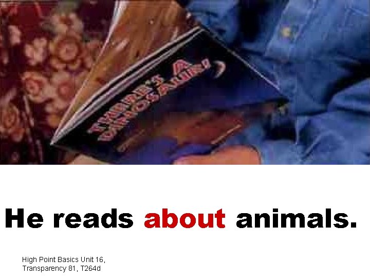 He reads about animals. High Point Basics Unit 16, Transparency 81, T 264 d