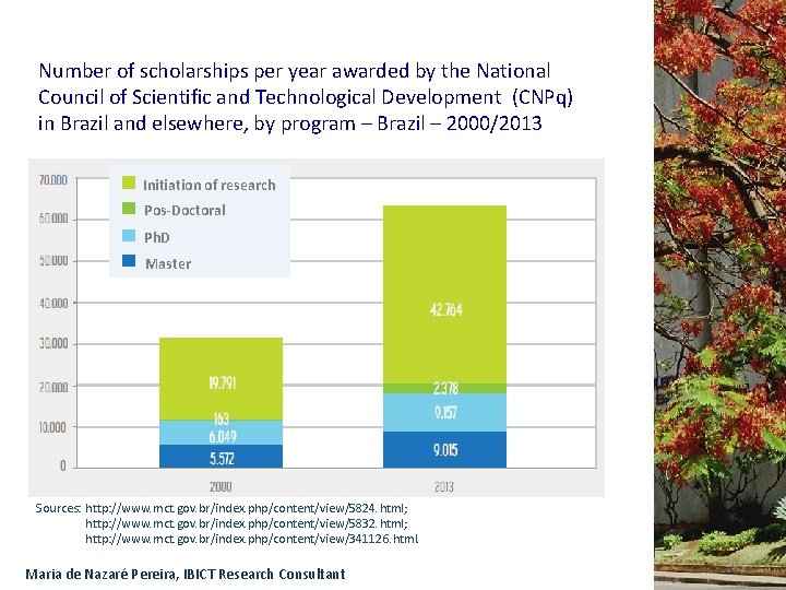 Number of scholarships per year awarded by the National Council of Scientific and Technological