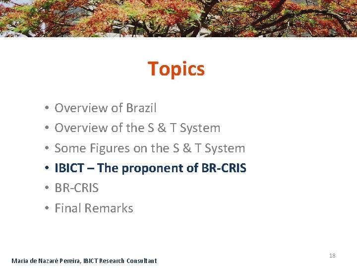 Topics • • • Overview of Brazil Overview of the S & T System