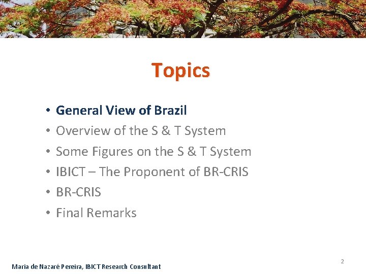 Topics • • • General View of Brazil Overview of the S & T