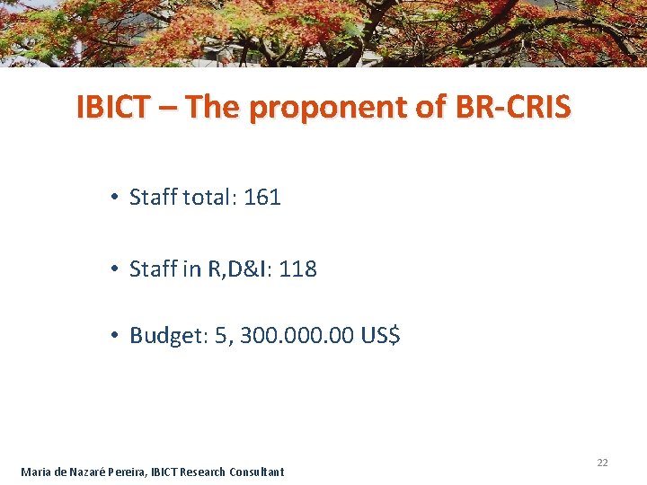 IBICT – The proponent of BR-CRIS • Staff total: 161 • Staff in R,