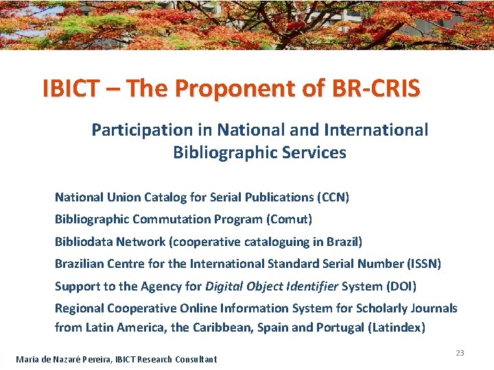 IBICT – The Proponent of BR-CRIS Participation in National and International Bibliographic Services National