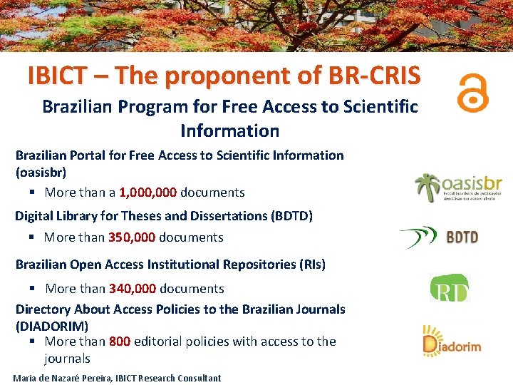 IBICT – The proponent of BR-CRIS Brazilian Program for Free Access to Scientific Information