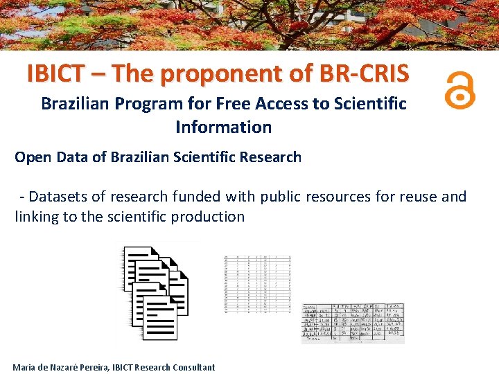 IBICT – The proponent of BR-CRIS Brazilian Program for Free Access to Scientific Information
