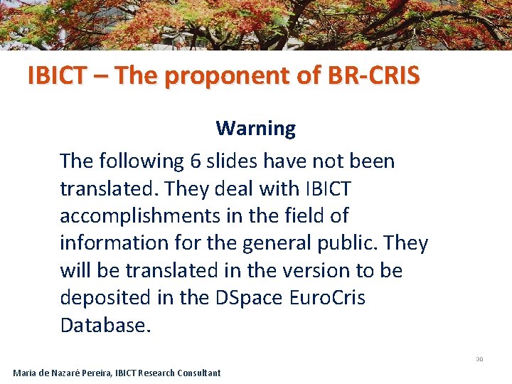 IBICT – The proponent of BR-CRIS Warning The following 6 slides have not been