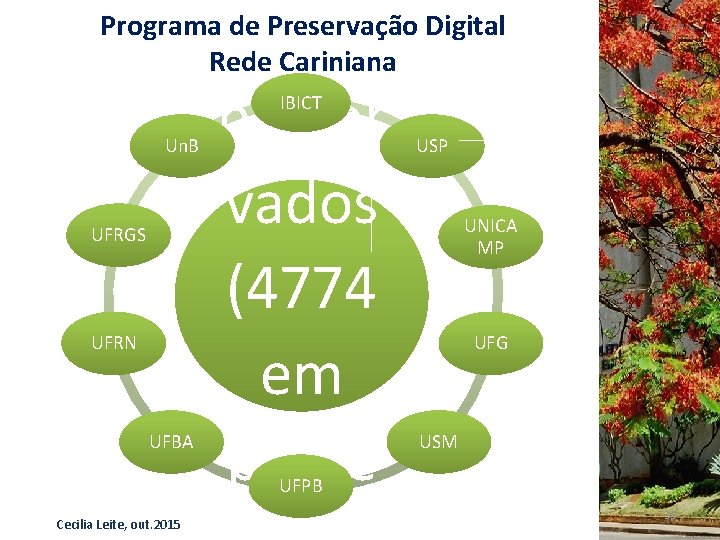 es preser vados (4774 em proce Programa de Preservação Digital Rede Cariniana IBICT Un.