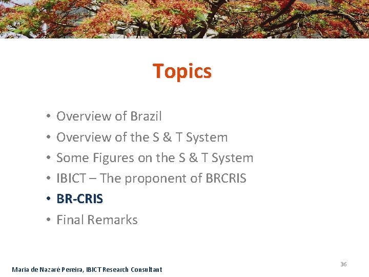 Topics • • • Overview of Brazil Overview of the S & T System