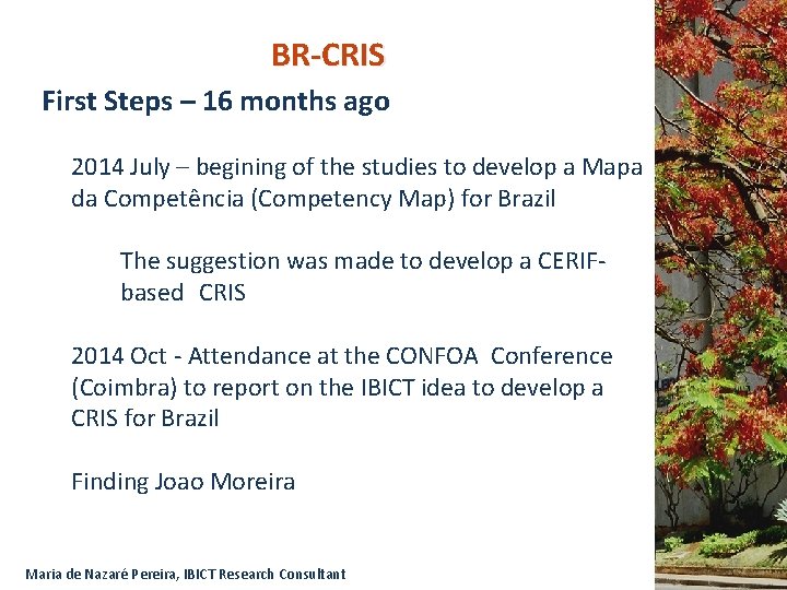 BR-CRIS First Steps – 16 months ago 2014 July – begining of the studies