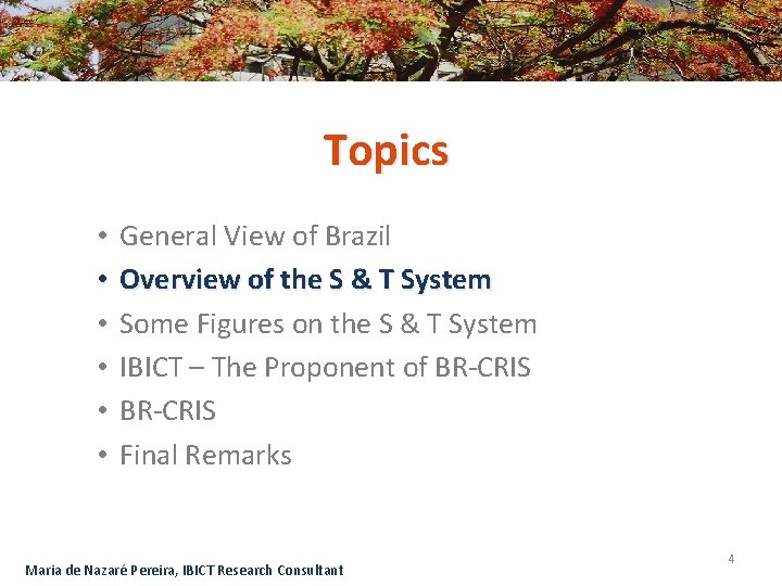 Topics • • • General View of Brazil Overview of the S & T