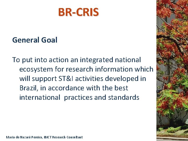 BR-CRIS General Goal To put into action an integrated national ecosystem for research information
