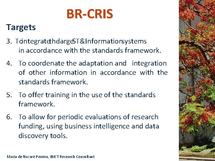 Targets BR-CRIS 3. To integrate the large ST&I information systems in accordance with the