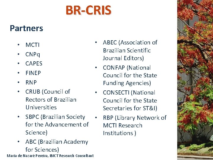 BR-CRIS Partners MCTI CNPq CAPES FINEP RNP CRUB (Council of Rectors of Brazilian Universities