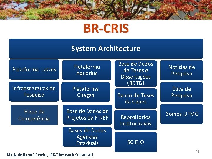 BR-CRIS System Architecture Plataforma Lattes Plataforma Aquarius Infraestruturas de Pesquisa Plataforma Chagas Mapa da