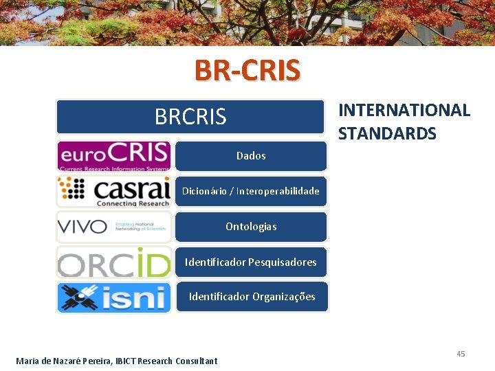 BR-CRIS INTERNATIONAL STANDARDS BRCRIS Dados Dicionário / Interoperabilidade Ontologias Identificador Pesquisadores Identificador Organizações Maria