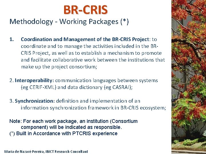 BR-CRIS Methodology - Working Packages (*) 1. Coordination and Management of the BR-CRIS Project: