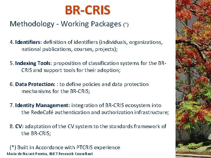 BR-CRIS Methodology - Working Packages (*) 4. Identifiers: definition of identifiers (individuals, organizations, national