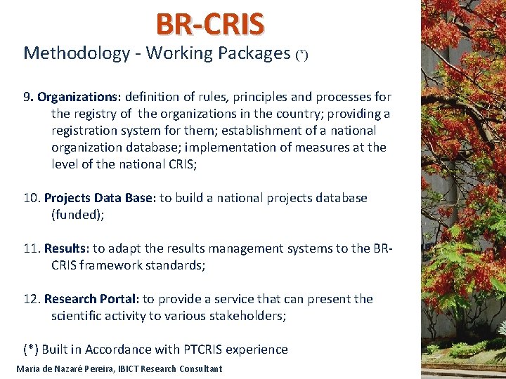 BR-CRIS Methodology - Working Packages (*) 9. Organizations: definition of rules, principles and processes