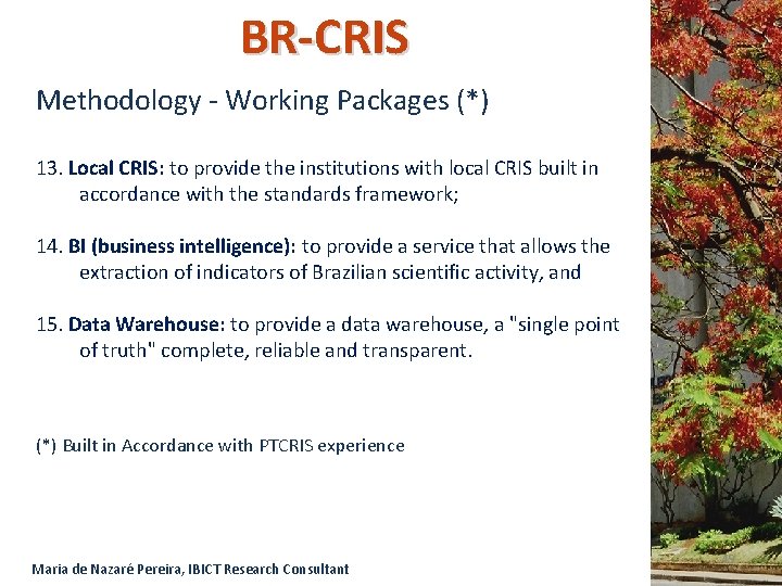 BR-CRIS Methodology - Working Packages (*) 13. Local CRIS: to provide the institutions with