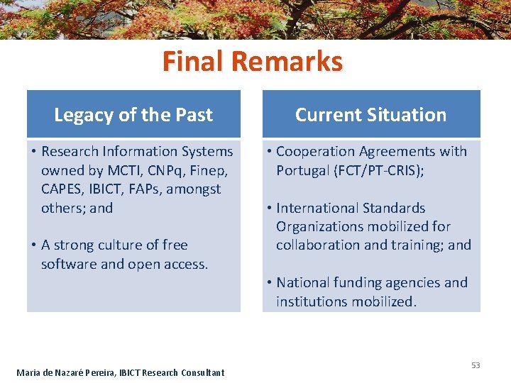 Final Remarks Legacy of the Past Current Situation • Research Information Systems owned by