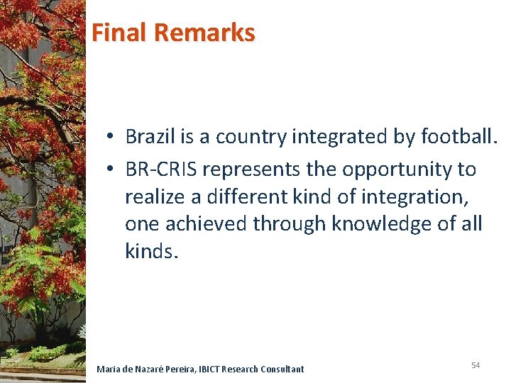 Final Remarks • Brazil is a country integrated by football. • BR-CRIS represents the